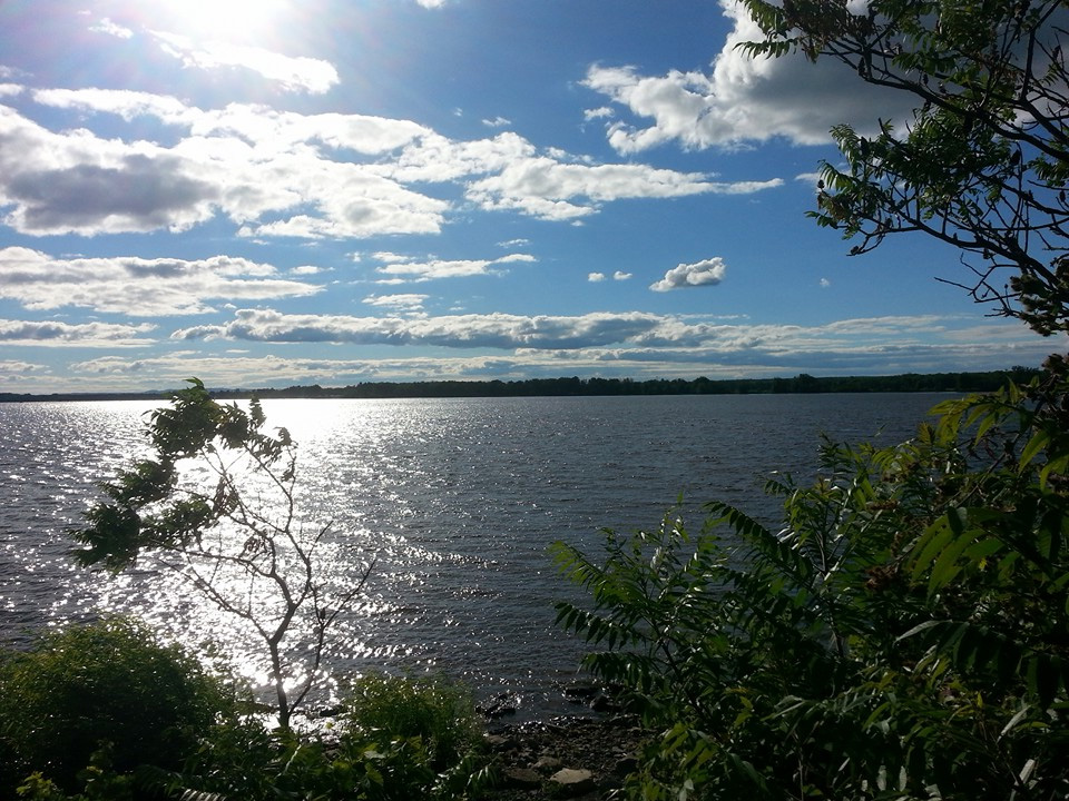 Petrie Island