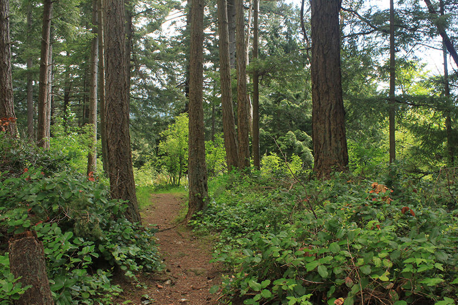 Vancouver hikes_feature