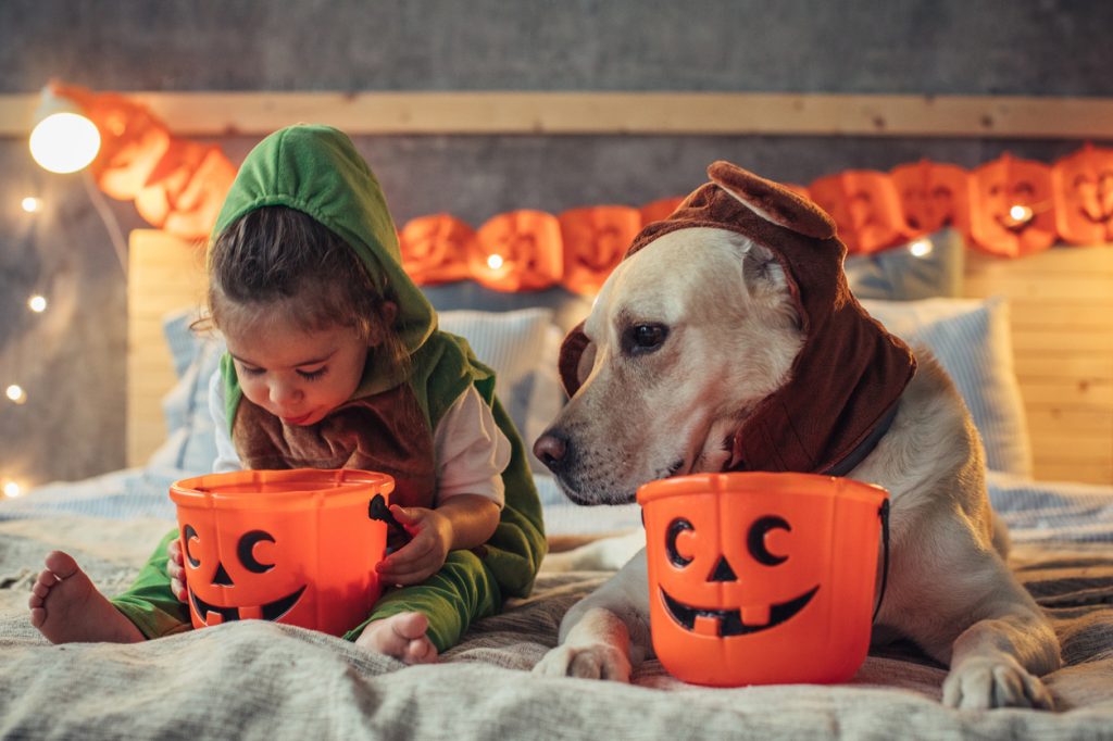 Family Activities and Events for Halloween in Ottawa