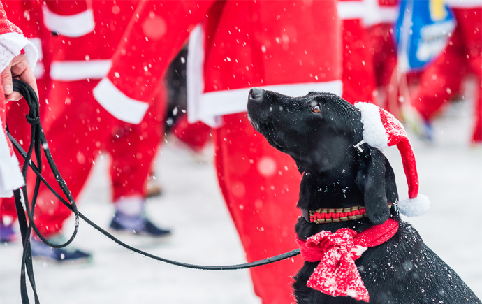 Stittsville Parade of Lights: Saturday, December 1