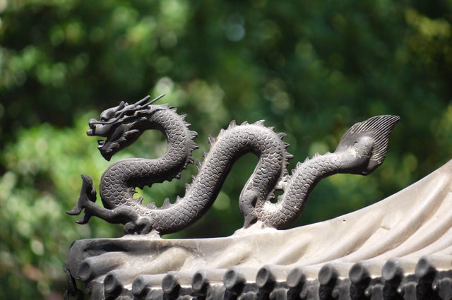 Dragon Dragon