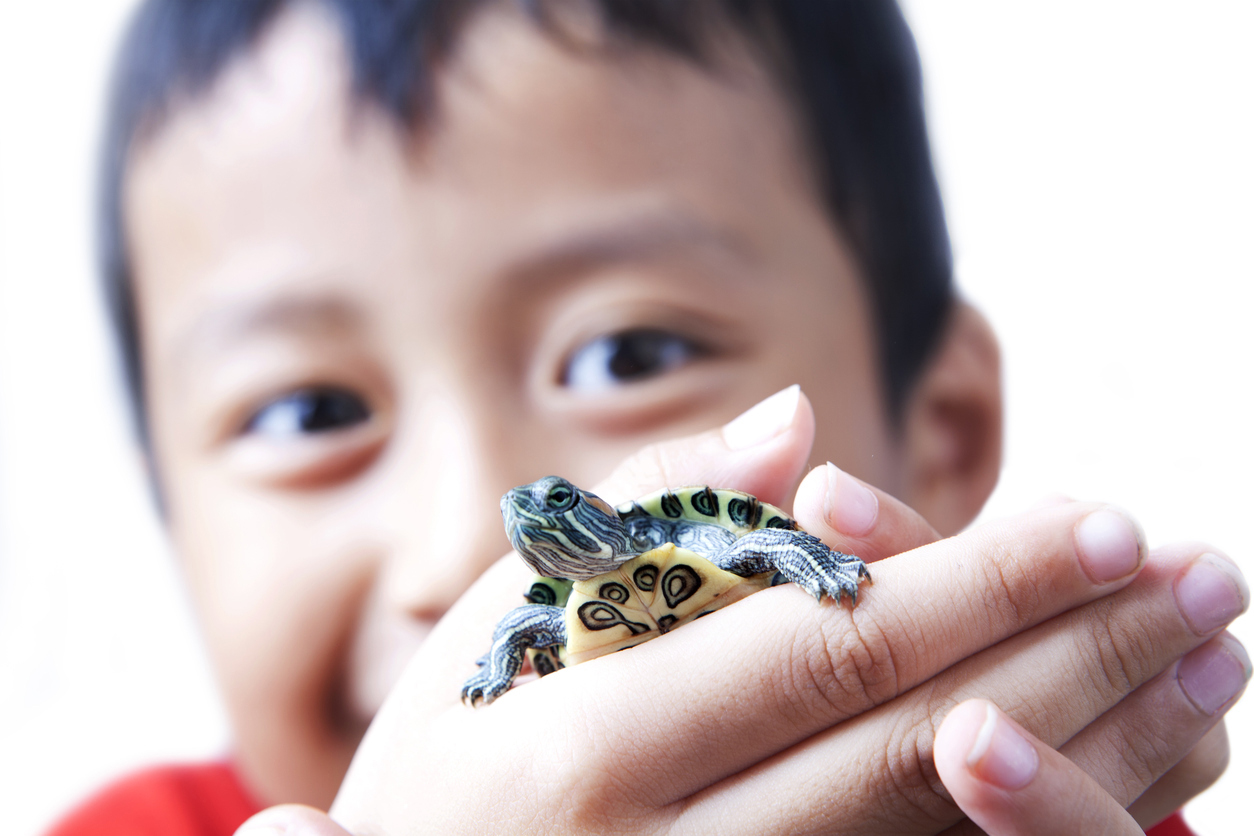 March Break Camps in Ottawa SavvyMom