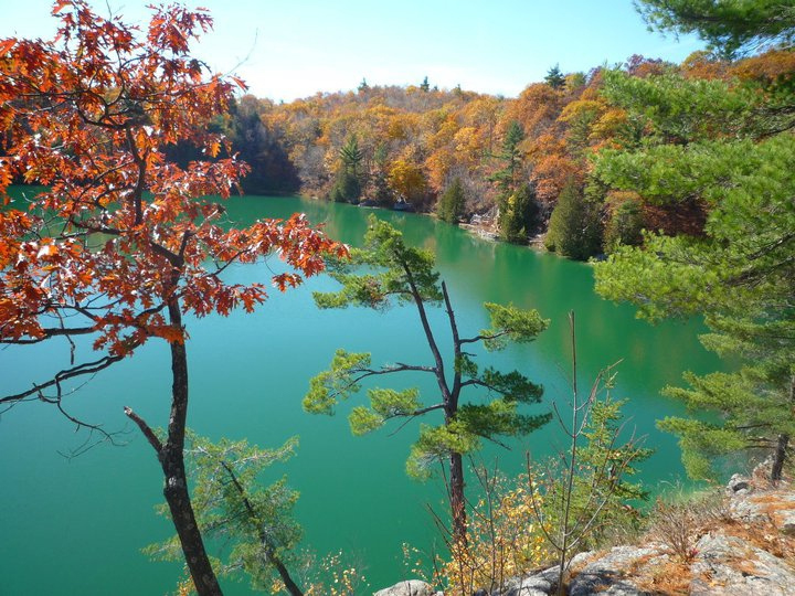 Gatineau Park