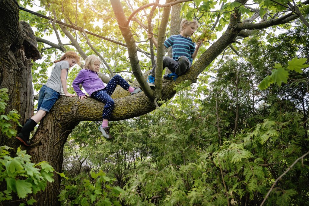 I Wish My Kids Were Less Safe I Wish My Kids Were Less Safe