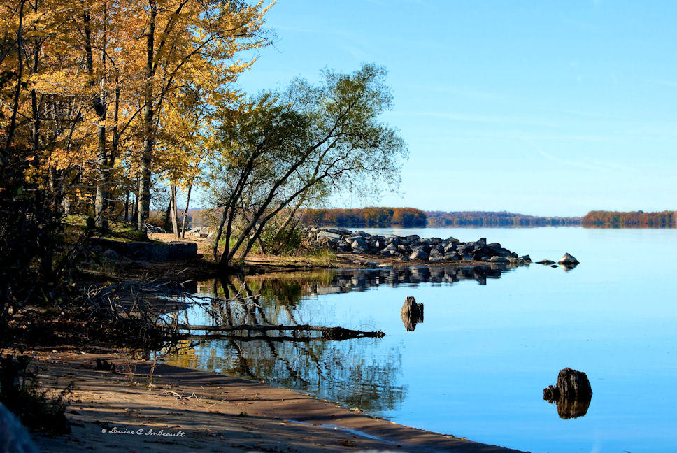 Petrie Island