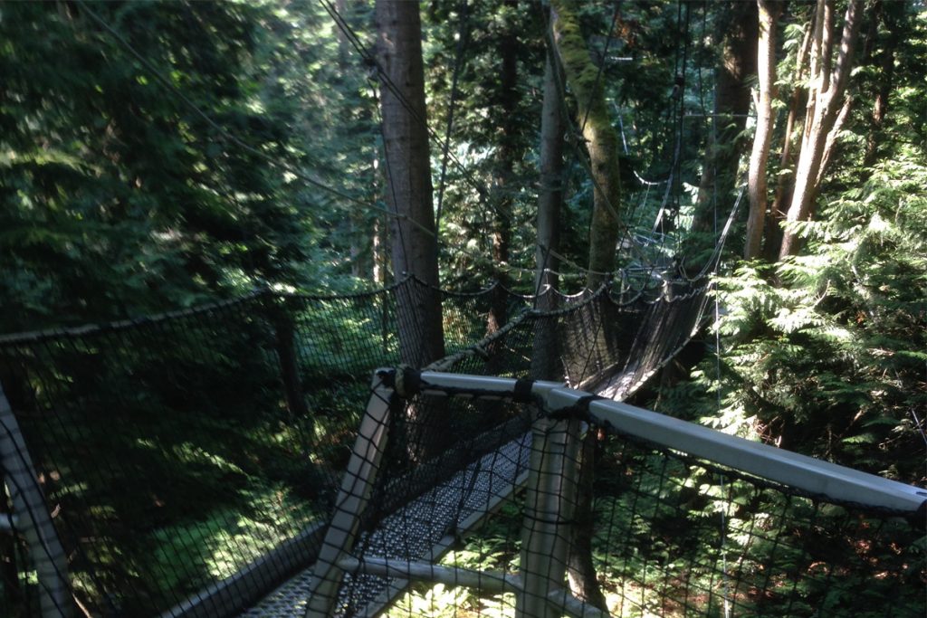 Vancouver TreeTop Vancouver TreeTop