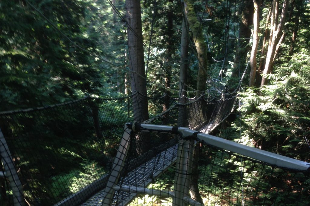 Vancouver TreeTop