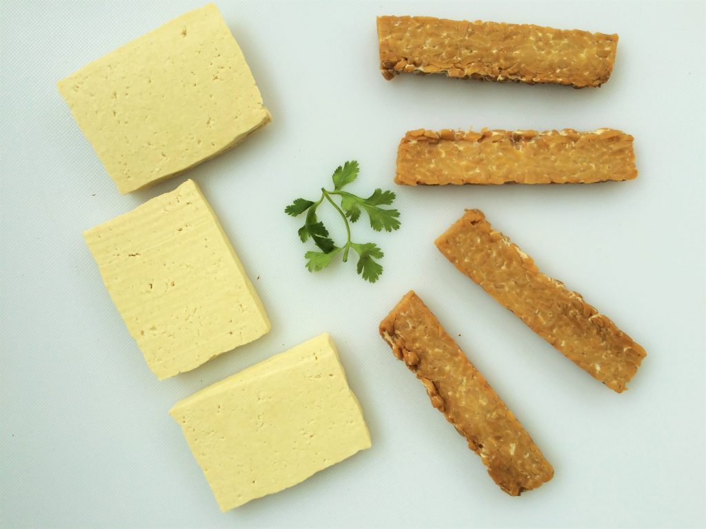 tofu and tempeh tofu and tempeh