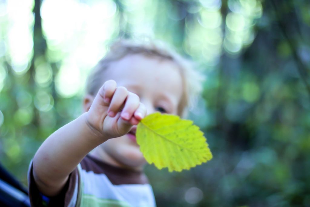 Educational Activities in Vancouver