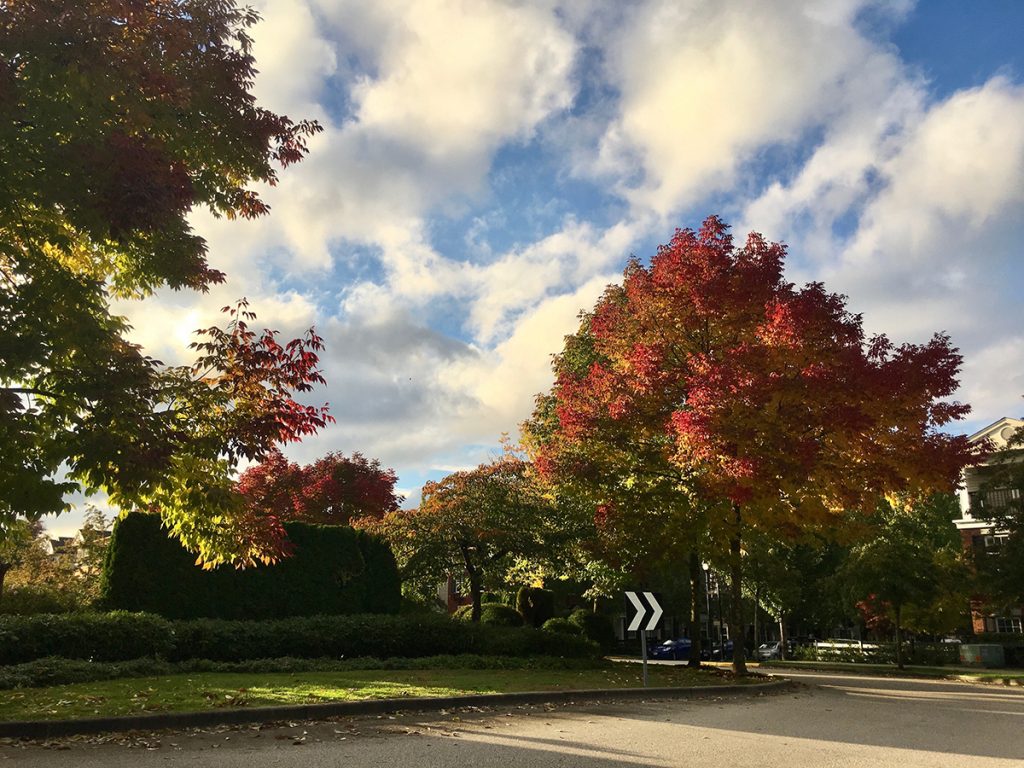 Fall Weekend Fun in Vancouver