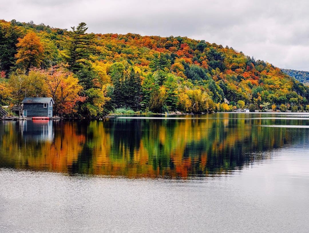 Here's What to Do This Weekend: See Fall Rhapsody Before it's Gone ...