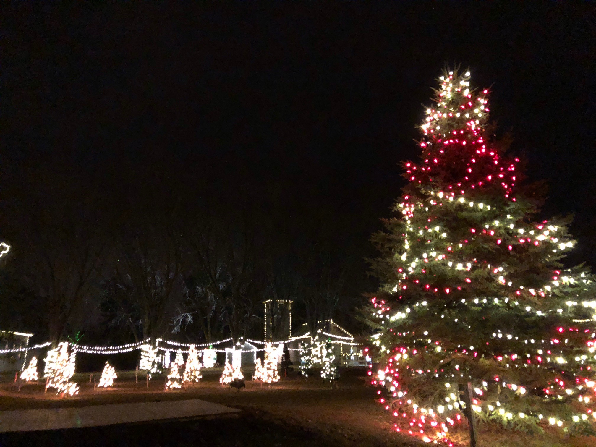 Where to See the Best & Most Beautiful Christmas Lights in Ottawa