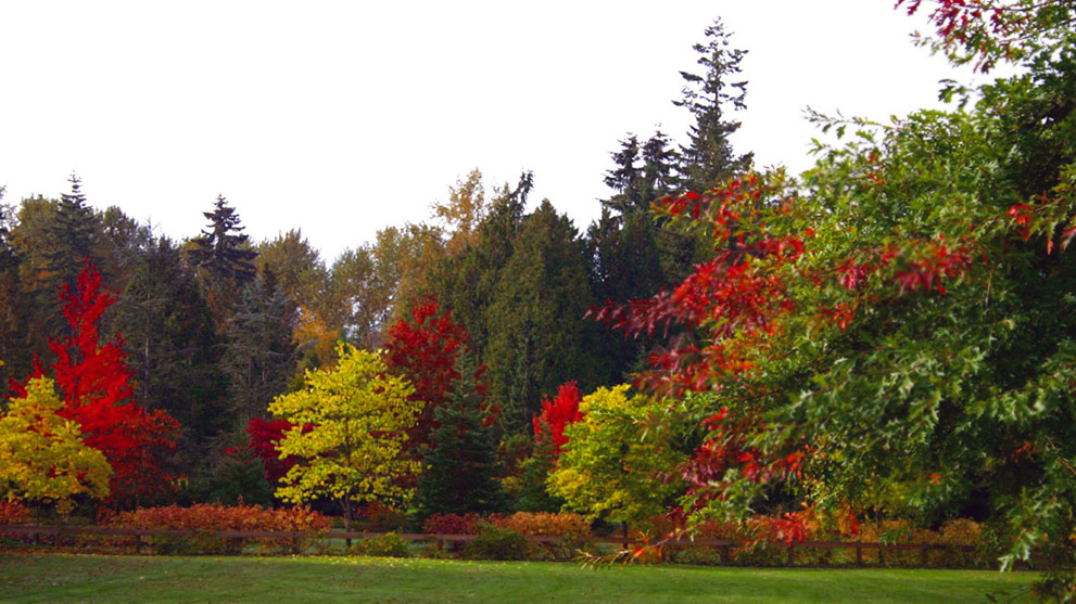 Bear Creek Park