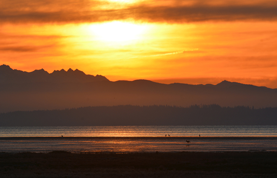 Boundary Bay Regional Park