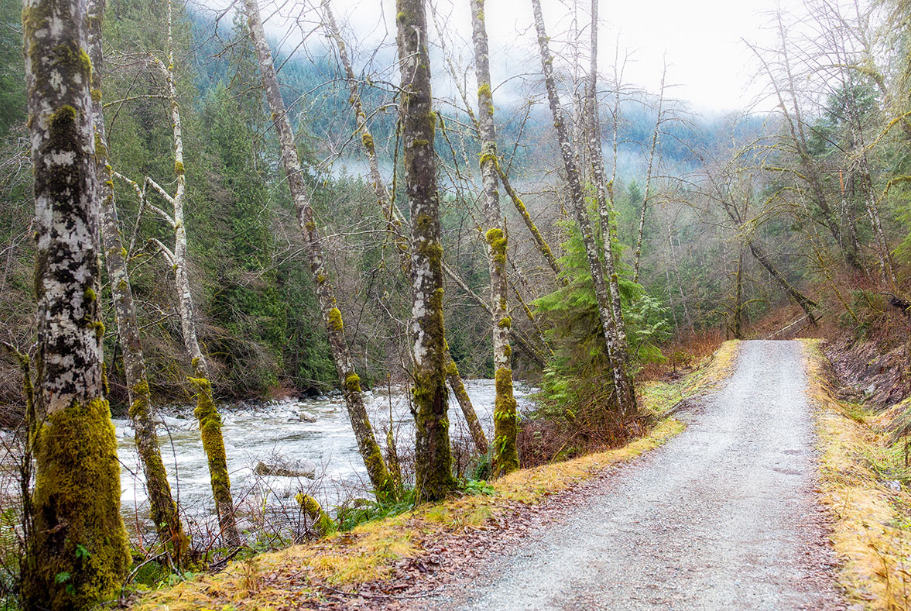 Lower Seymour Conservation Reserve