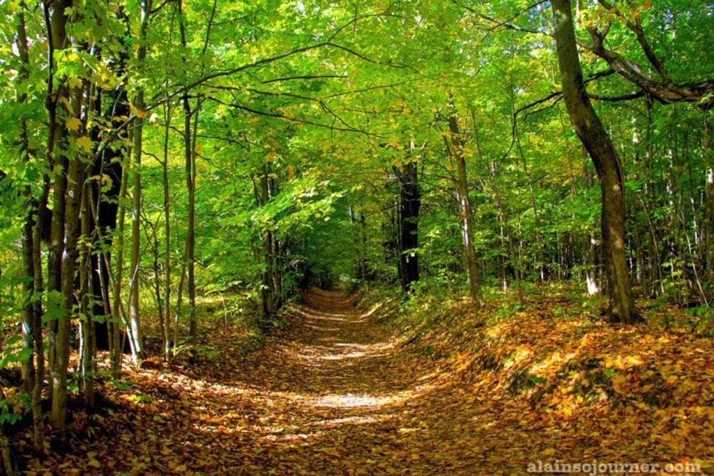 Bruce Trail