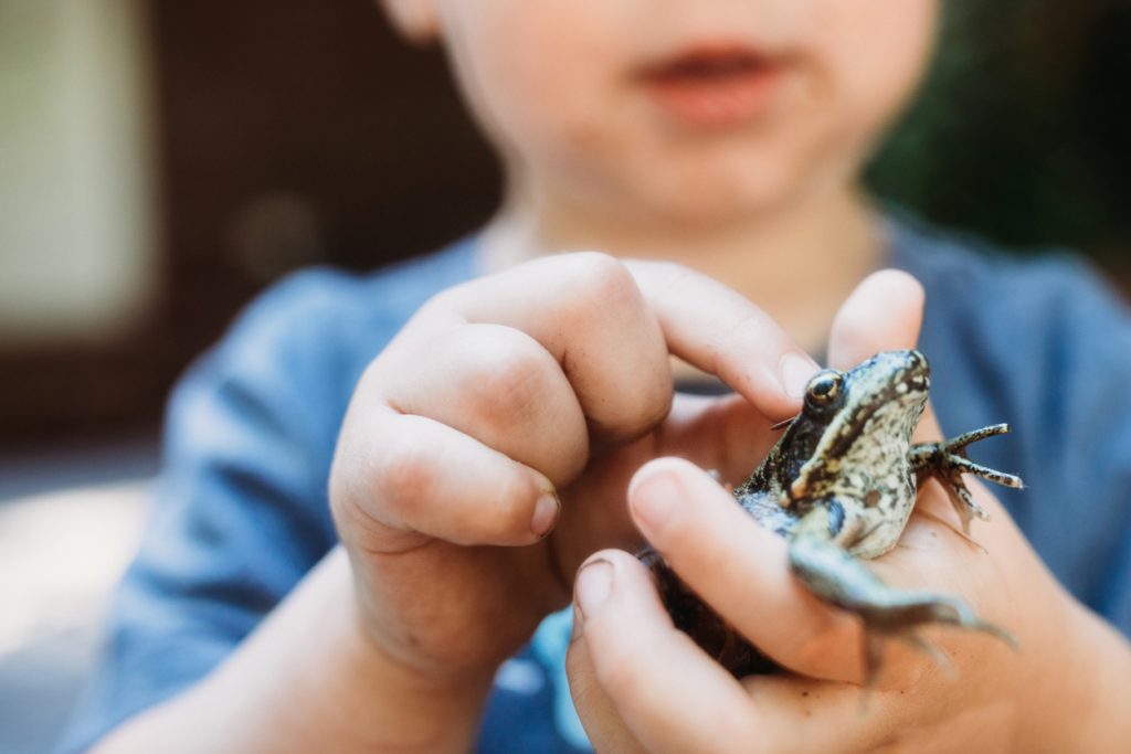 Vancouver Nature Workshops