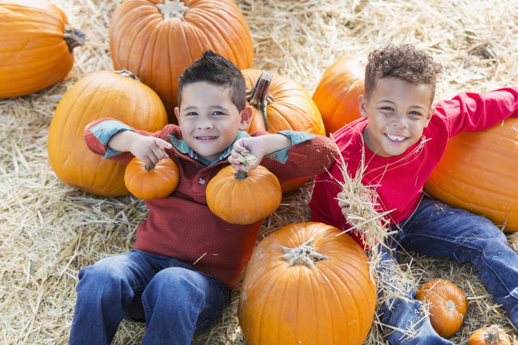 Pumpkin Patches in Toronto and GTA - SavvyMom