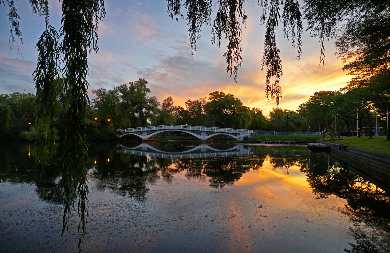 Where to Take Perfect Fall Family Photos in Toronto - SavvyMom