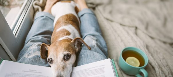 Books We Can't Wait to Read
