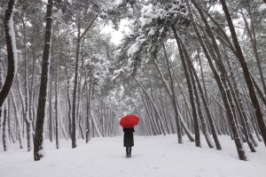 how to cope with winter blues