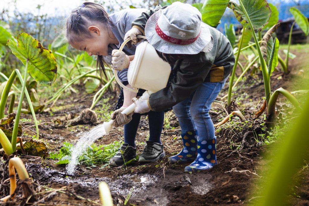 Unique Activities for Kids in Vancouver