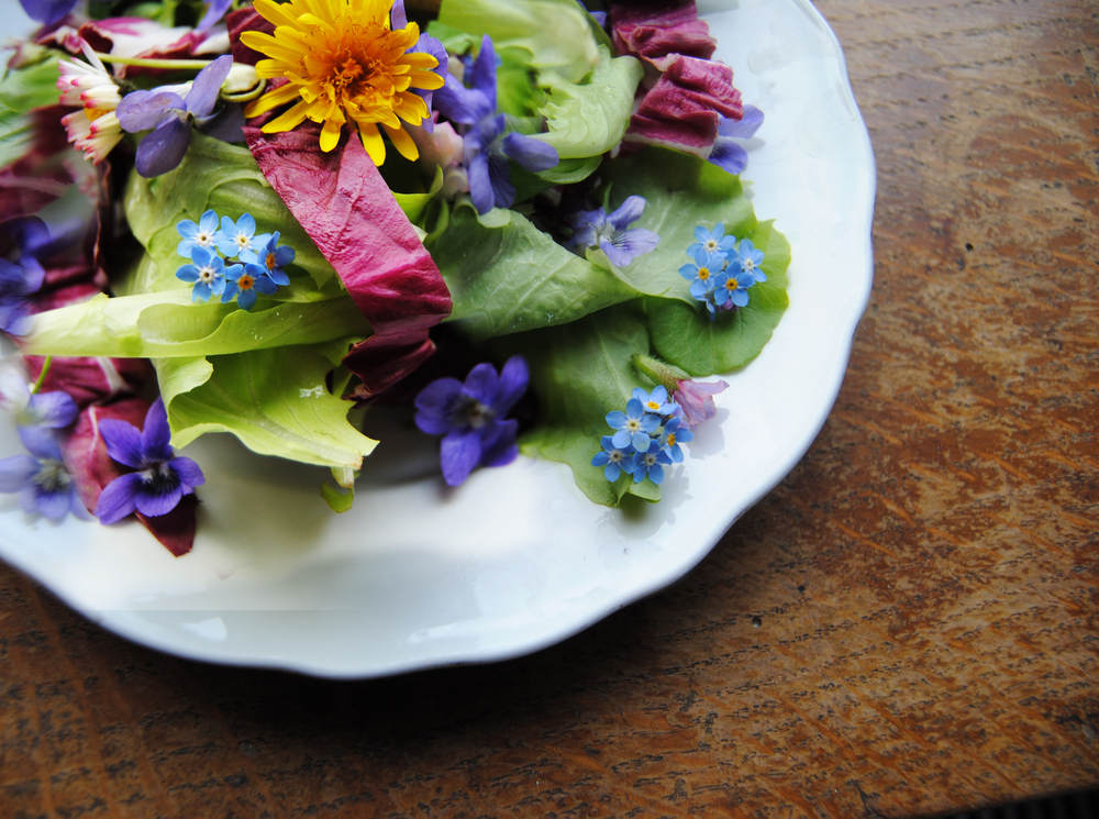 Edible Flowers 101 - SavvyMom