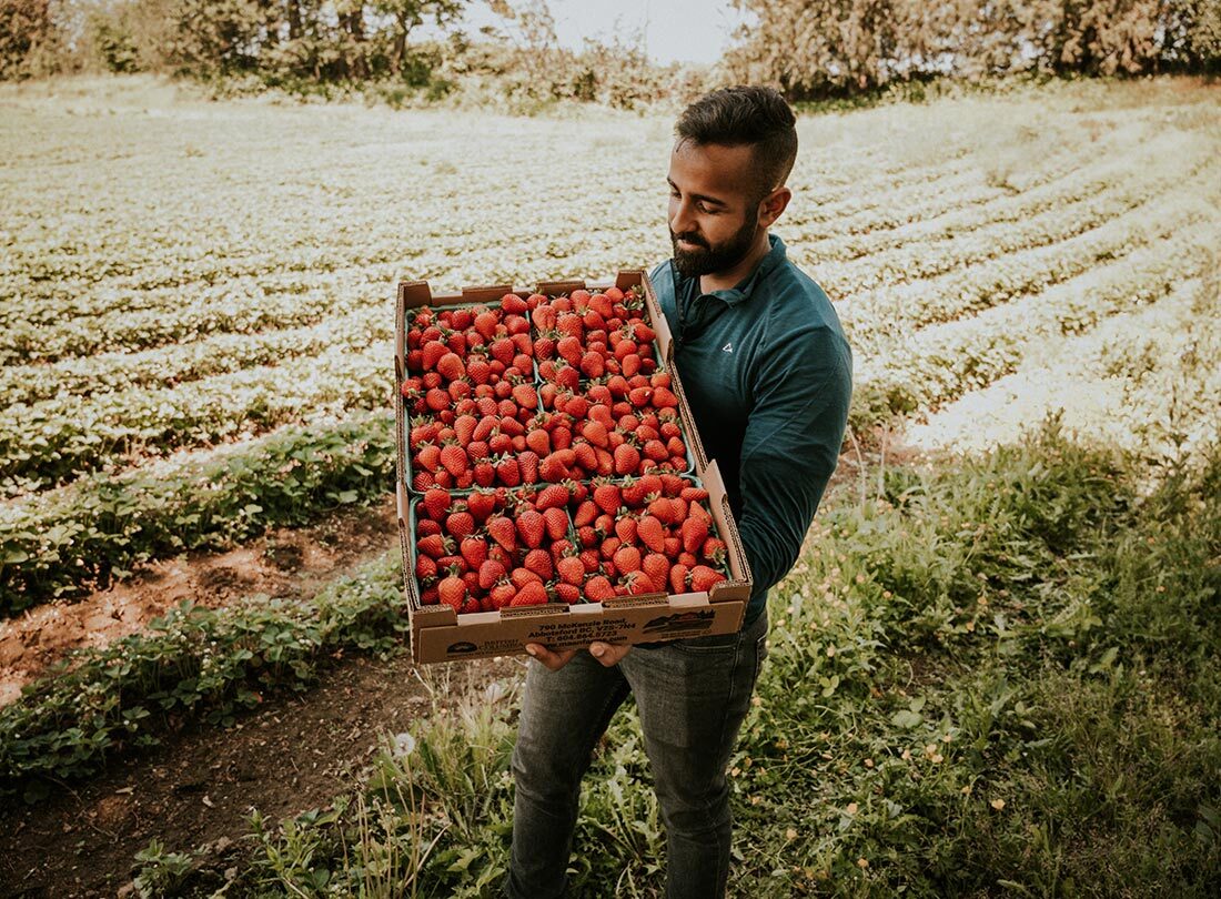 SavvyMom-Vancouver-Berry-Picking-Maan-Farms