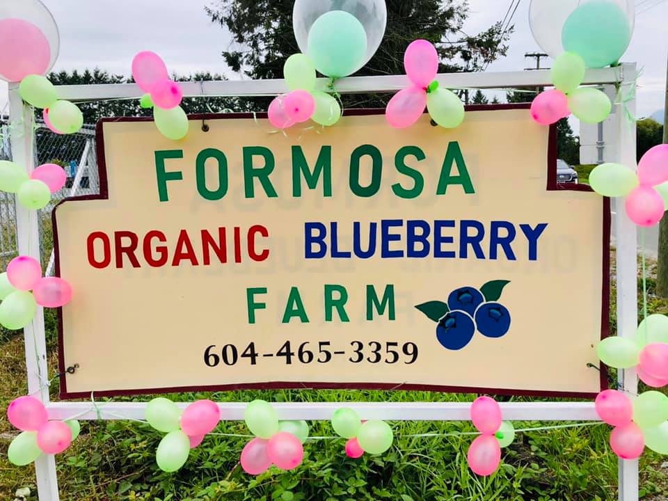 SavvyMom-Vancouver-U-Pick-Berry-Farm-Formosa-Nursery