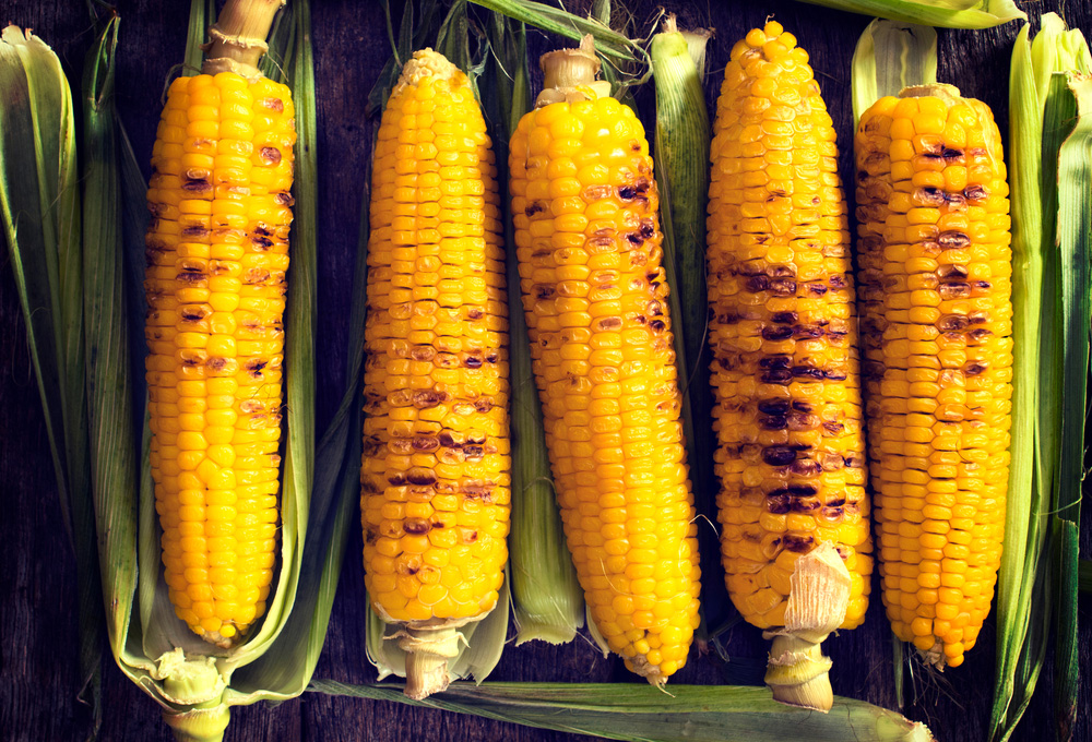 Corn Recipes