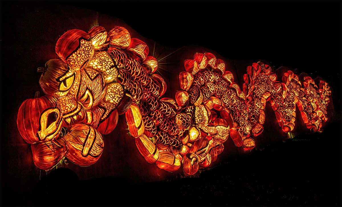 Pumpkins After Dark A Unique Halloween Drive Thru Event For Families Savvymom