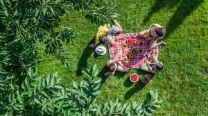 Best Family Picnic Spots in Toronto