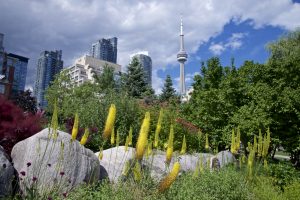 Fun Family Events in Toronto in June - SavvyMom