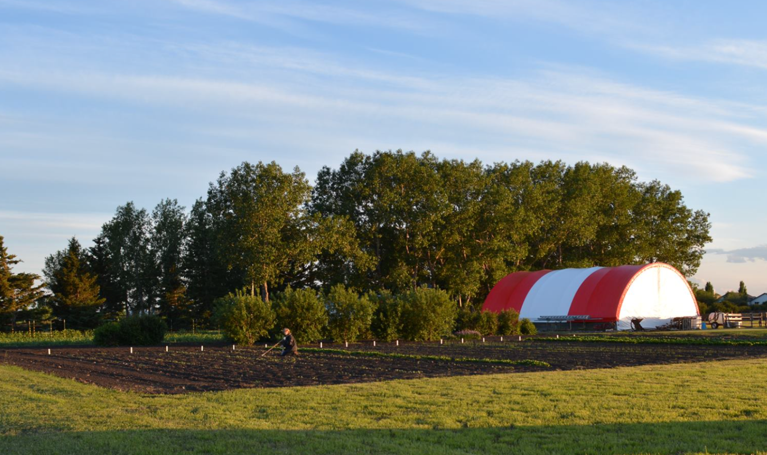 UPick Berry Farms Near Calgary SavvyMom