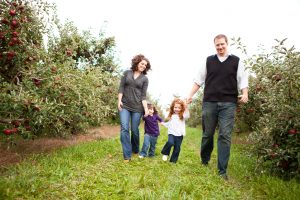 Apple Picking in Ottawa