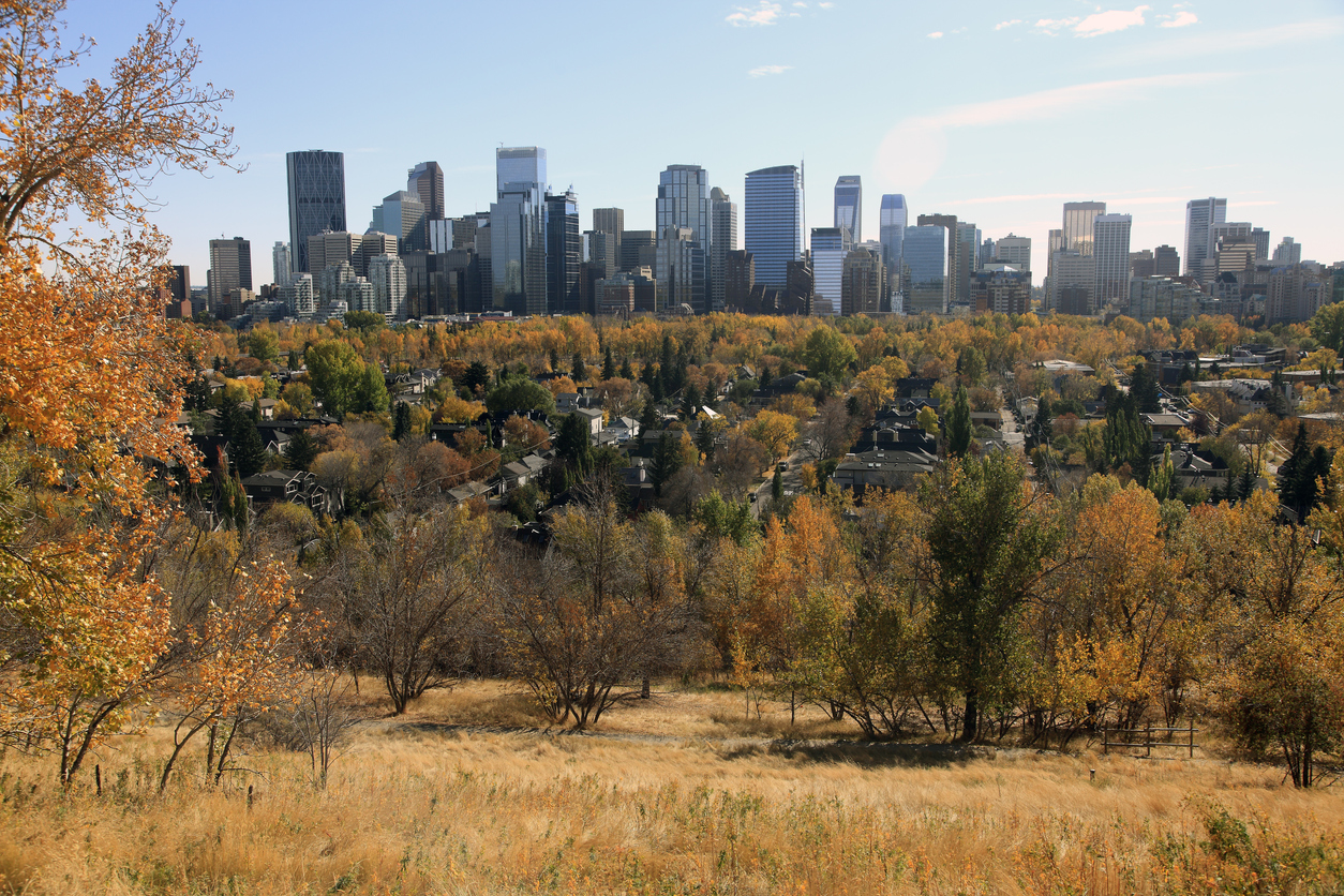 Fall Activities in Calgary in October - SavvyMom