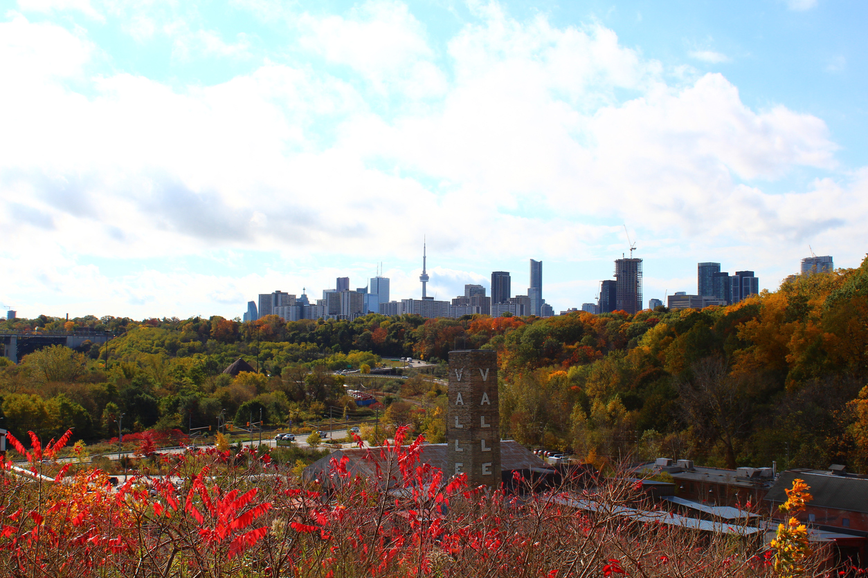 Fun Things to Do in Toronto in October for Families - SavvyMom