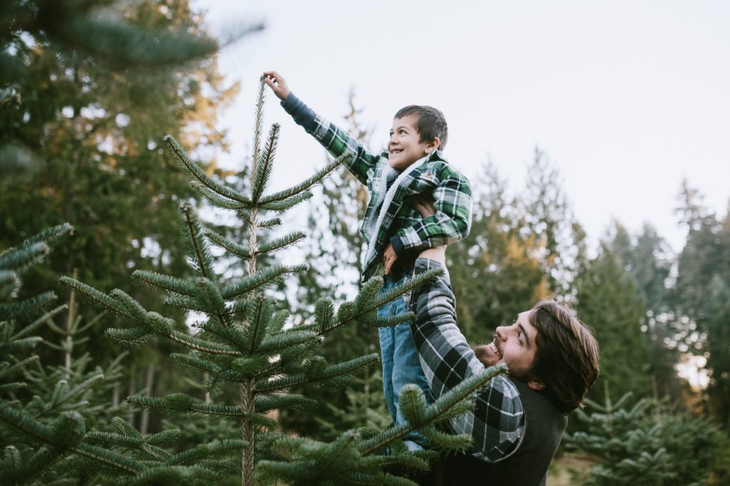 Christmas Trees in Vancouver - SavvyMom