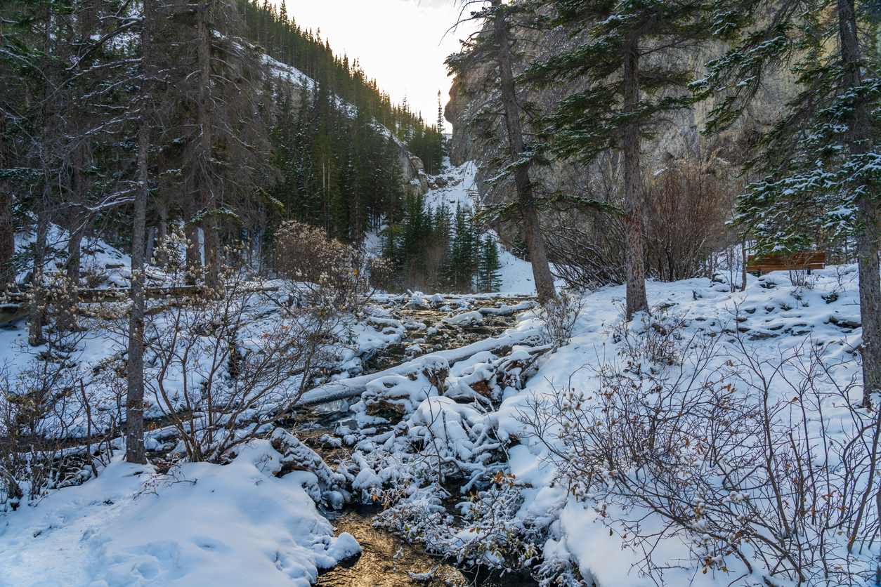 Grassi Lakes Winter Hikes in Calgary - SavvyMom