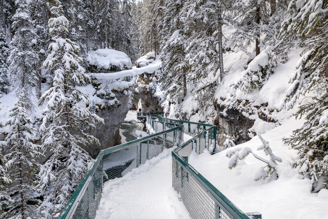 Johnston Canyon Banff Winter Hikes in Calgary - SavvyMom