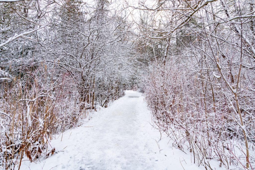 Toronto Winter Hikes Mill Pond Park Trail - SavvyMom