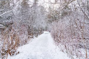 Toronto Winter Hikes Mill Pond Park Trail - SavvyMom