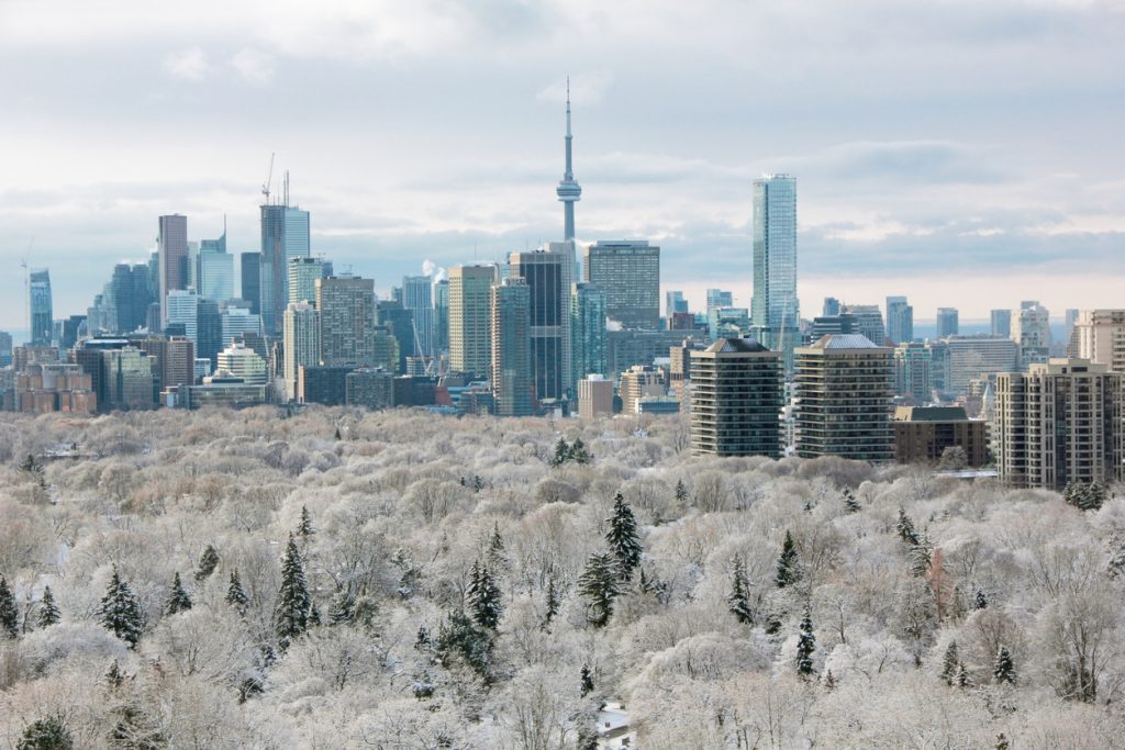 Things to Do in Toronto this Winter with Kids - SavvyMom