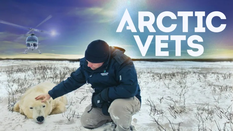 What's On for Kids Arctic Vets - SavvyMom