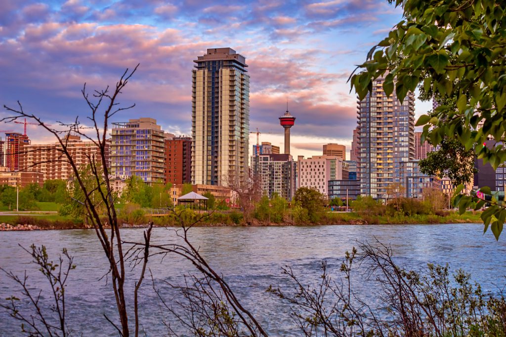 Things to do in Calgary in April with Kids - SavvyMom