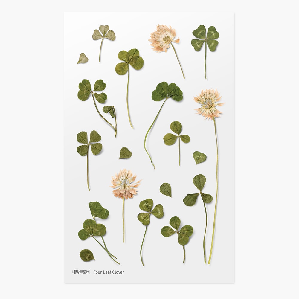 Clover Stickers - St Patrick's Day with Kids