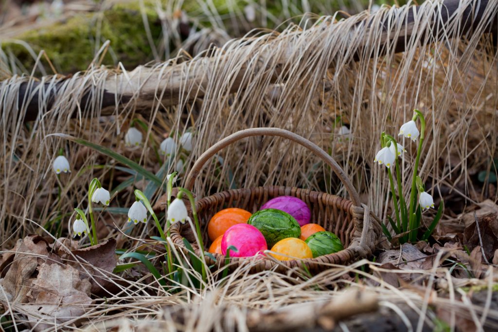 Easter in Calgary - SavvyMom