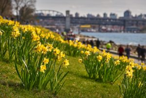 Fun Things to Do in Vancouver in May - SavvyMom