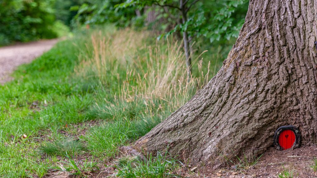 Fairy Door Trails in Ontario - SavvyMom