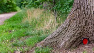 Fairy Door Trails in Ontario - SavvyMom